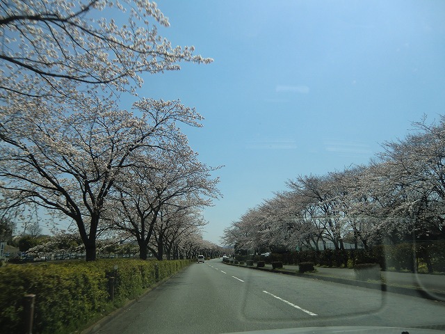 a0006033_12375049.jpg