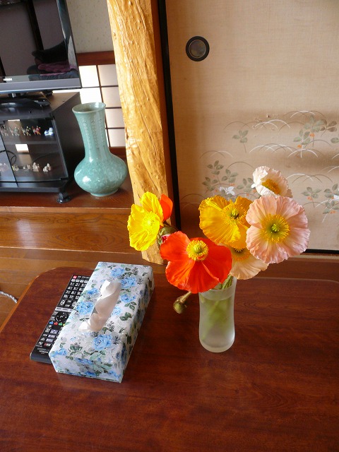 a0006033_12403127.jpg