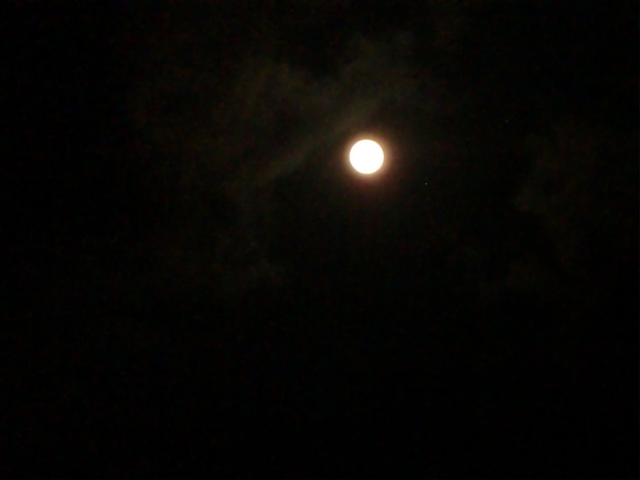 c0127933_1221173.jpg