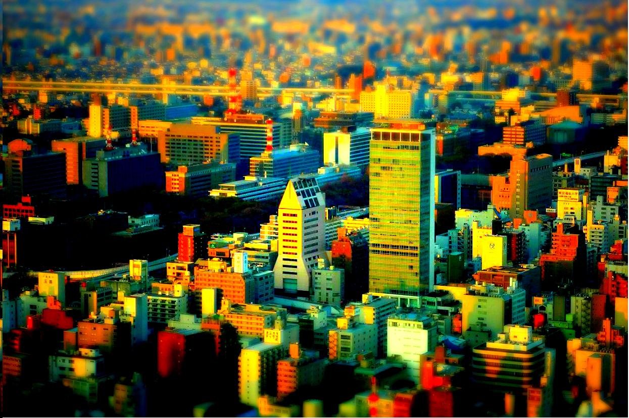 a0055650_1405214.jpg