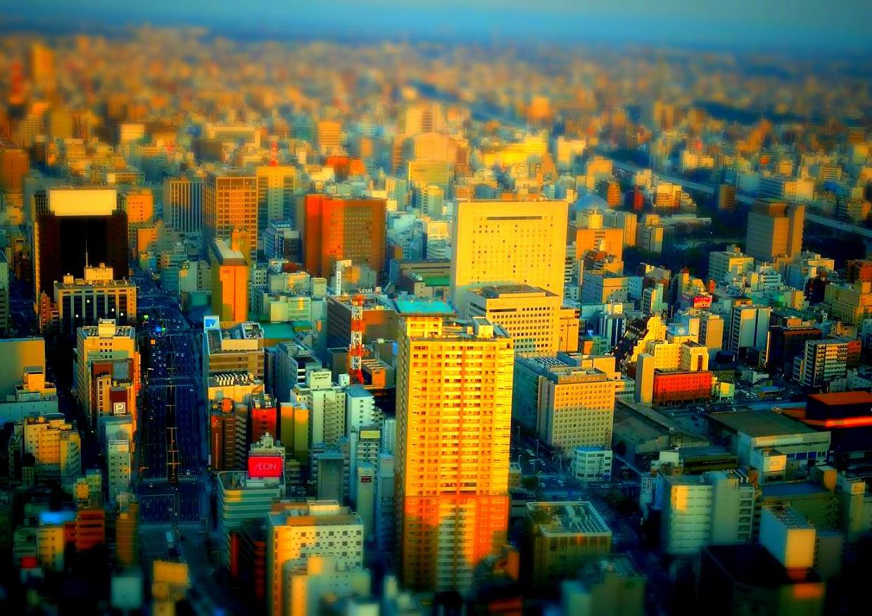 a0055650_1422129.jpg