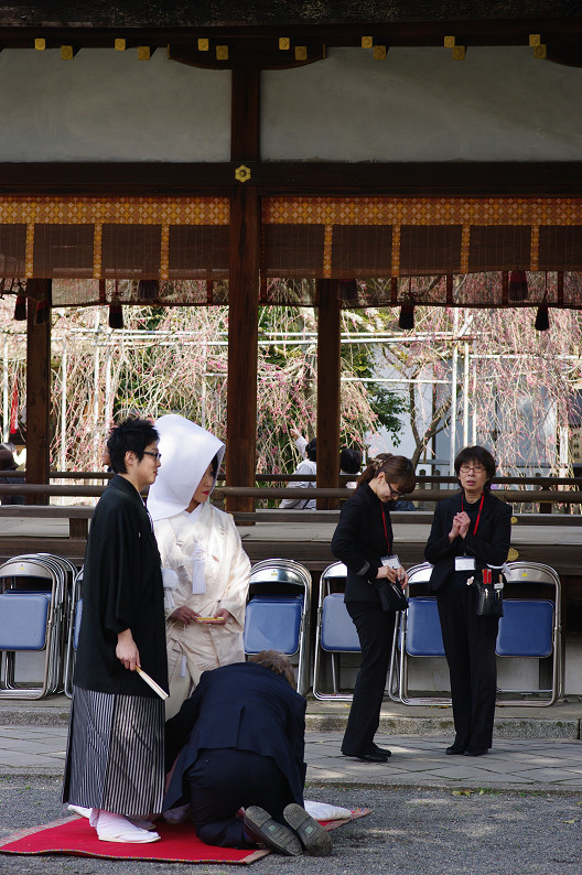 平野神社　桜．．．_f0152550_21513935.jpg