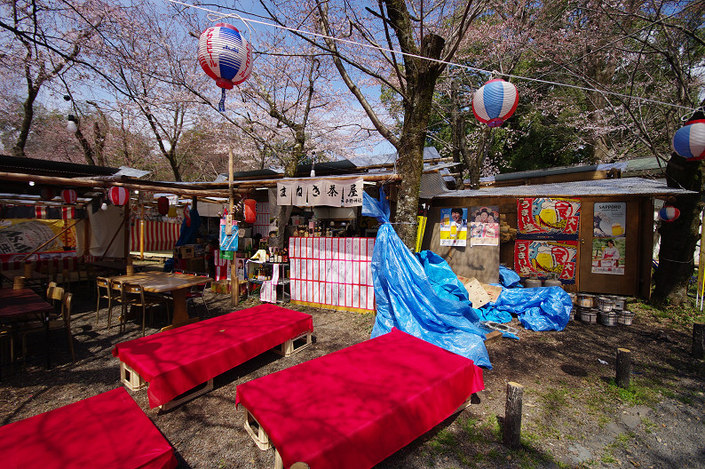 平野神社　桜．．．_f0152550_21524052.jpg