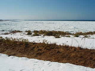 峰浜へ_e0004756_20291018.jpg