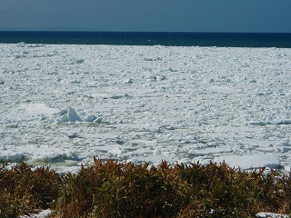e0004756_20292989.jpg