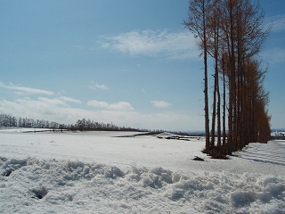 峰浜へ_e0004756_20455092.jpg