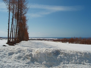 峰浜へ_e0004756_20521941.jpg