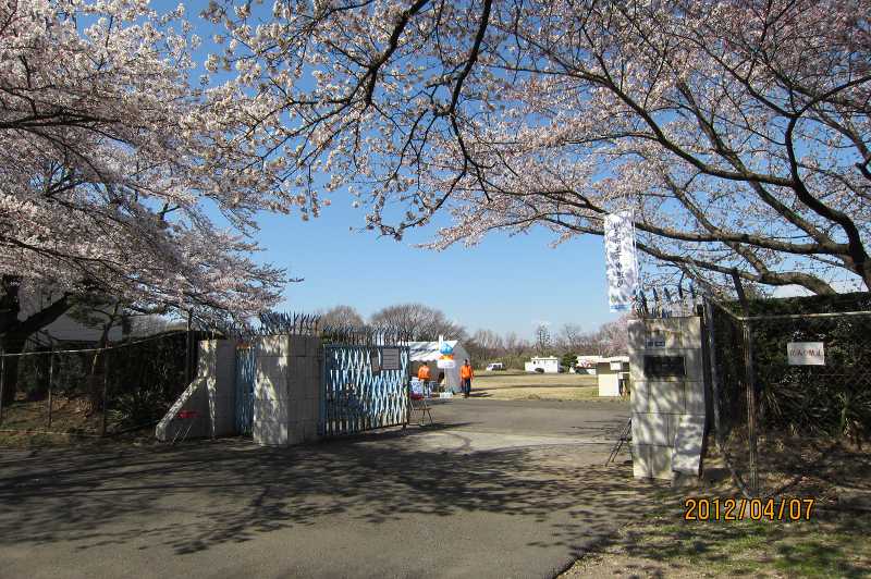 生田浄水場の桜 あだっちゃんの花鳥風月