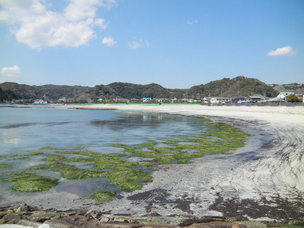 2012年4月7日(土)興津の桜は満開だし、大潮です!_f0060461_17295998.jpg