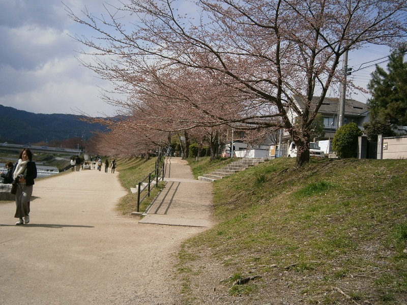 c0128862_19364354.jpg