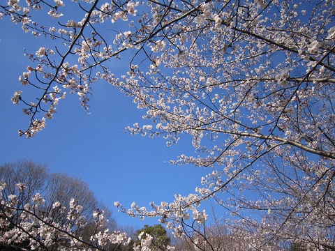 d0120665_04516.jpg
