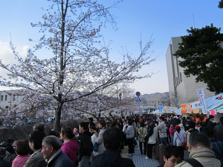 芦屋さくら祭り_f0205367_17543149.jpg