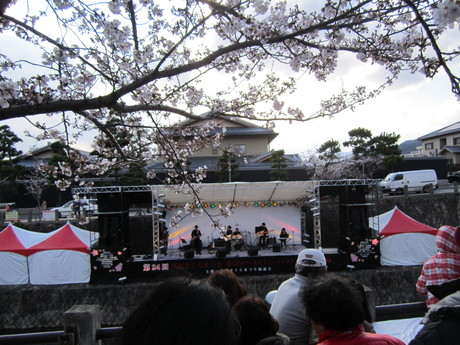 芦屋さくら祭り_f0205367_17554234.jpg