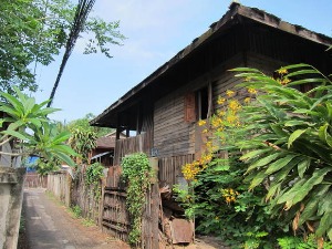 Payaka, Chiang Mai, April_a0252768_1383565.jpg