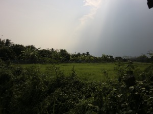 Payaka, Chiang Mai, April_a0252768_14134422.jpg