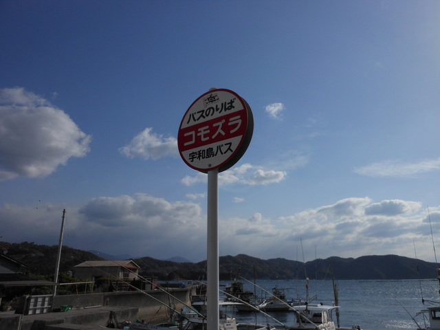 コモズラ_c0001670_14153659.jpg