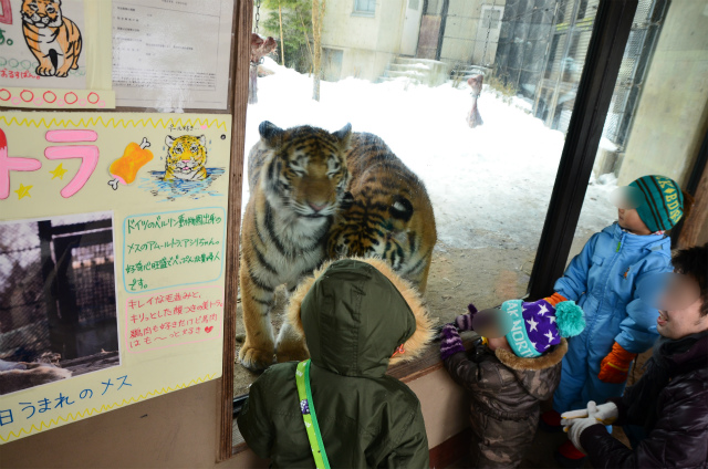 子供たちに大人気♪_b0145677_982428.jpg