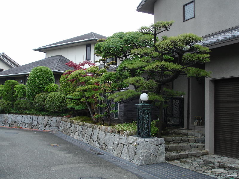 e0267979_15463399.jpg