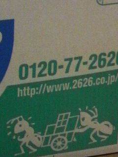 f0228680_953642.jpg