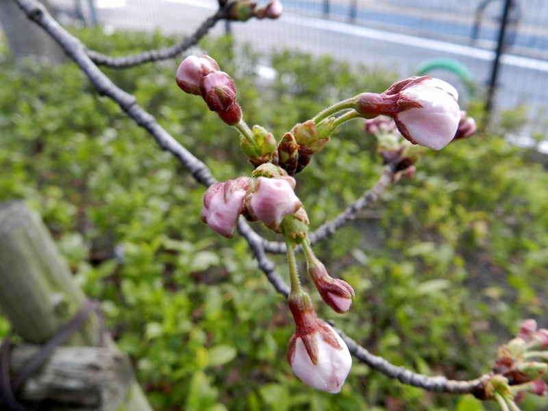 c0212783_0222287.jpg