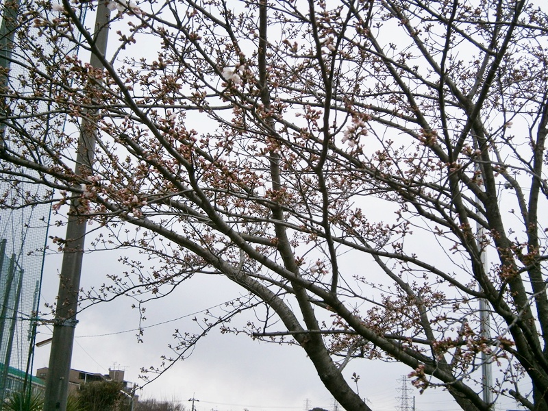 c0212783_023968.jpg