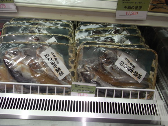 北陸お魚の旅・その5 (サービスエリアの魚たち) 120318~20_c0237483_1083715.jpg
