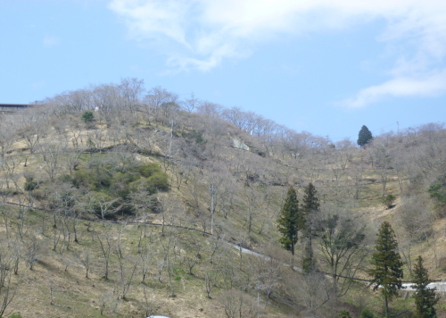 d0179983_8161017.jpg