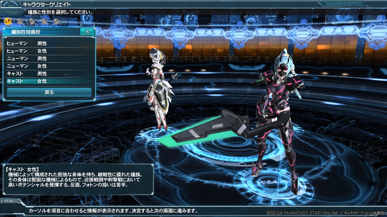 PSO2 キャラクタークリエイト体験版_b0091585_7341215.jpg