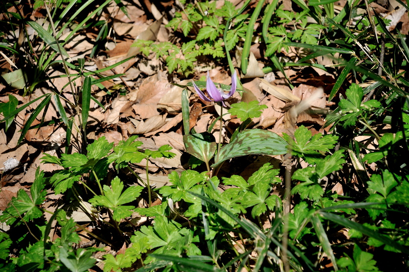 b0217090_20262680.jpg