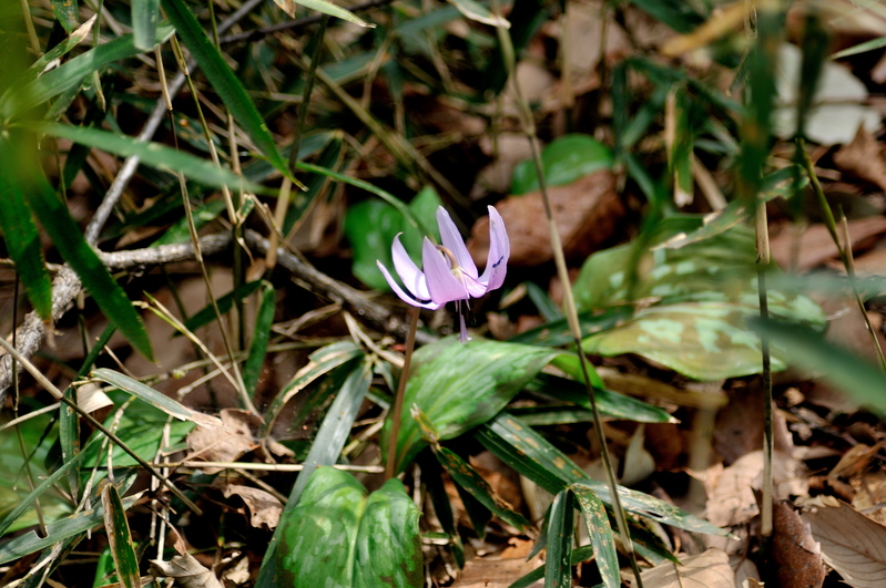 b0217090_2084612.jpg
