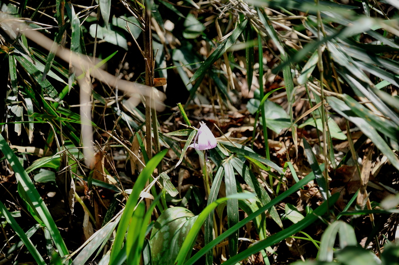 b0217090_208573.jpg