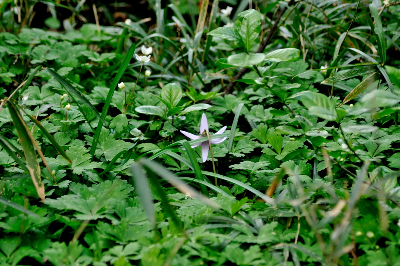 b0217090_2154828.jpg