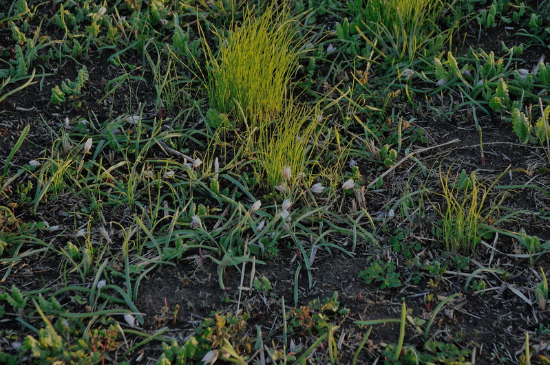 b0217090_8425147.jpg