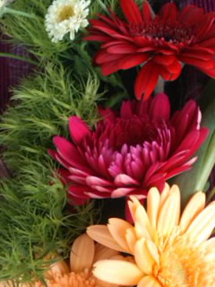 f0223290_6493513.jpg