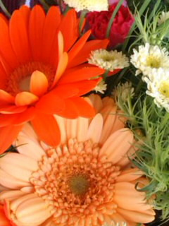 f0223290_6493549.jpg