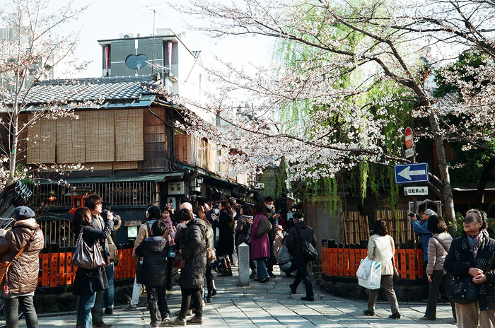 冬の服装の桜見物_e0029592_2126256.jpg