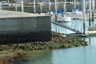 f0166694_21373279.jpg