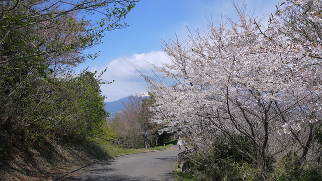 c0133096_13171116.jpg