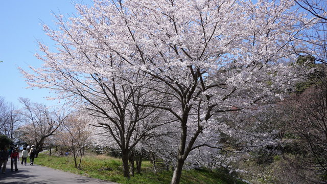c0133096_18363124.jpg