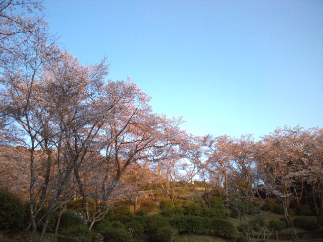 d0192197_23505270.jpg