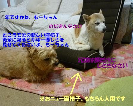 a0154801_18514619.jpg