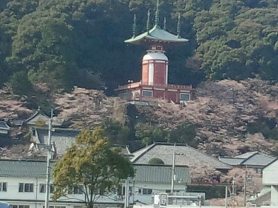 a0080002_1947490.jpg