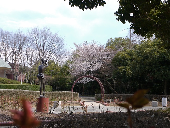 Cherry blossomes_e0163202_209439.jpg