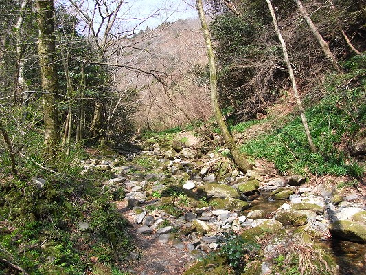 f0187402_1852043.jpg
