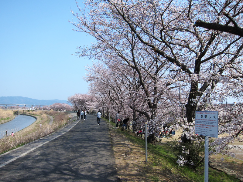 c0043403_2058464.jpg