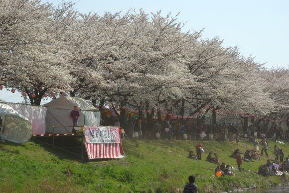 黒目川の花まつりに行ってみた デジカメ一眼レフ開眼への道