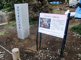 c0187004_18553391.jpg