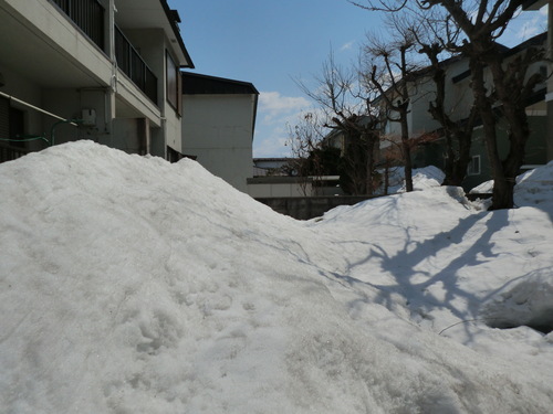 e0242504_1826337.jpg