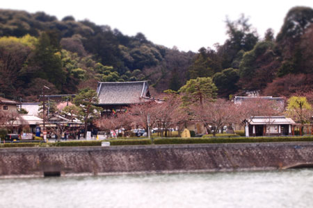 c0167708_18561682.jpg