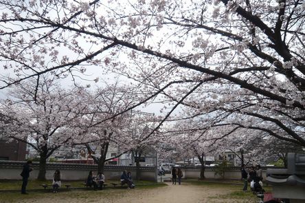 郡山城跡 お城まつり 前編 Journey